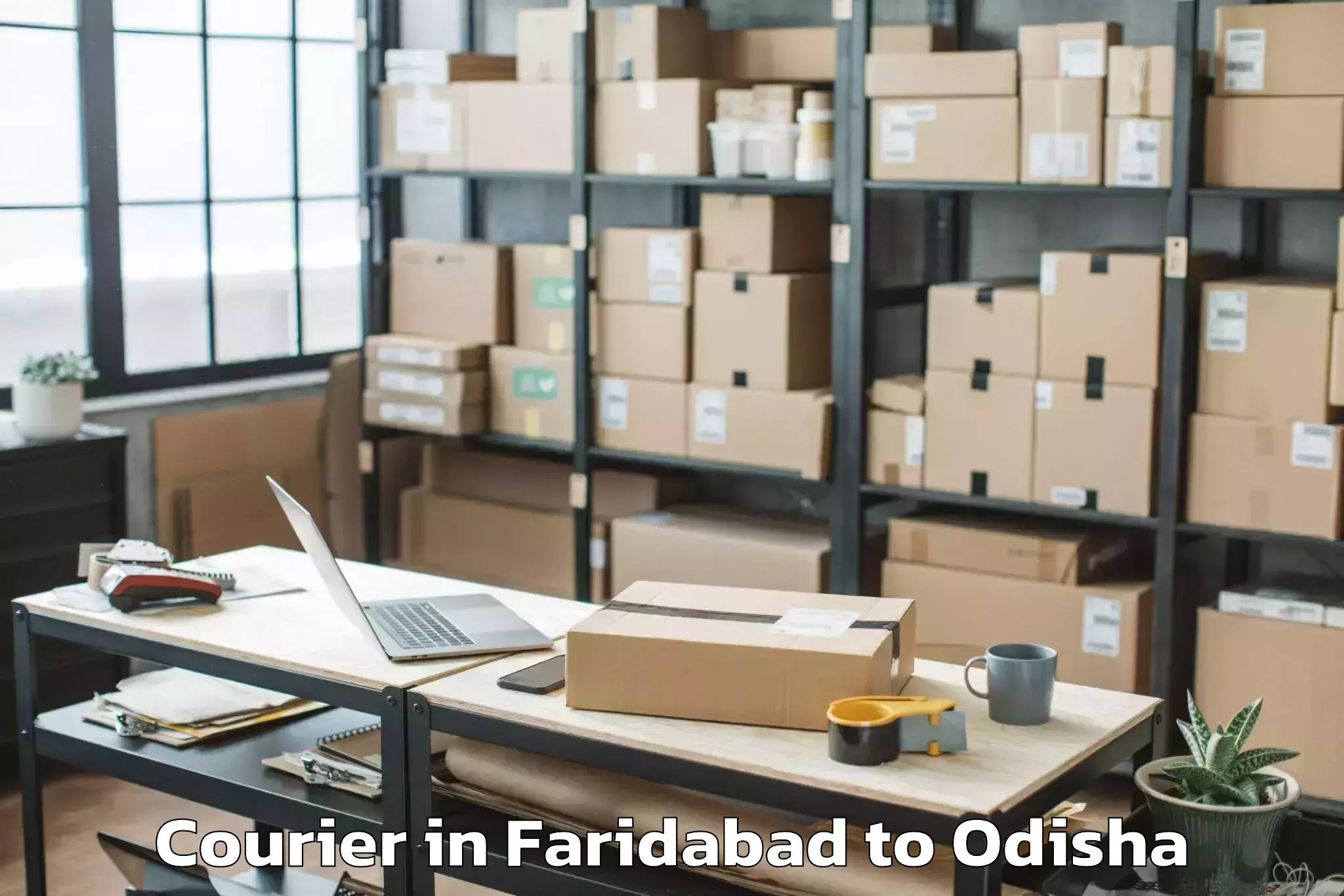 Affordable Faridabad to Chikitigarh Courier